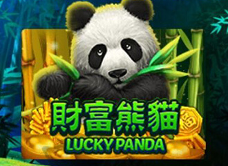 Lucky panda